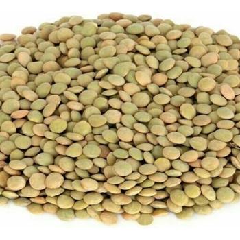BASHAN GREEN LENTIL