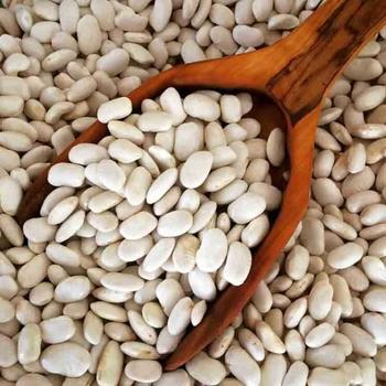 DERMASON DRY BEANS