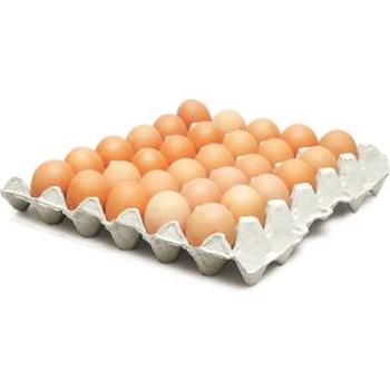 EGGS(MEDIUM)1 TRAY SINGLE TRAY