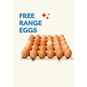 FREE RANGE EGGS ( MEDIUM )