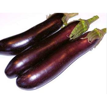 FRESH AUBERGINE LONG