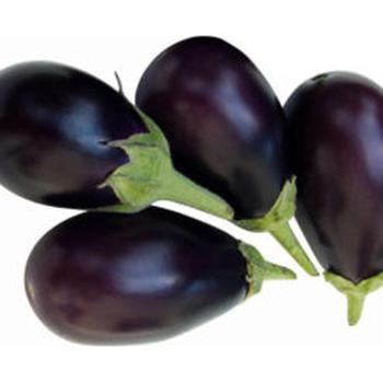 FRESH AUBERGINE SMALL 225-300