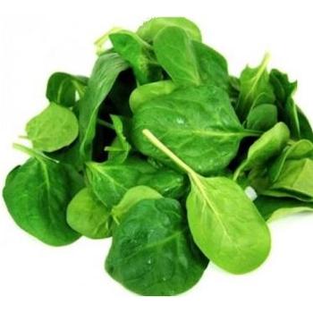 FRESH BABY LEAF PP