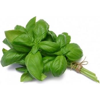 FRESH BASIL (REYHAN)