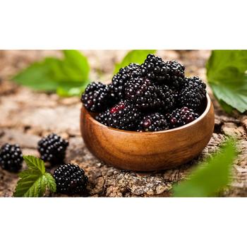 FRESH BLACKBERRY