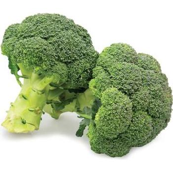 FRESH BROCCOLI