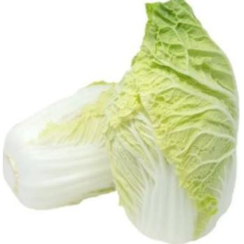 FRESH CHINESE LEAF