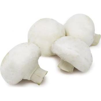FRESH CUP MUSHROOMS TRAY