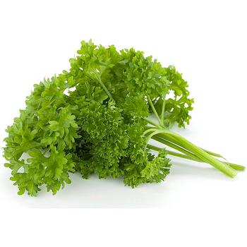 FRESH CURLY PARSLEY BOX