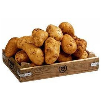 FRESH CYPRUS POTATOES
