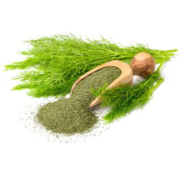 FRESH DILL BOX