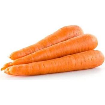 FRESH DONKEY CARROTS