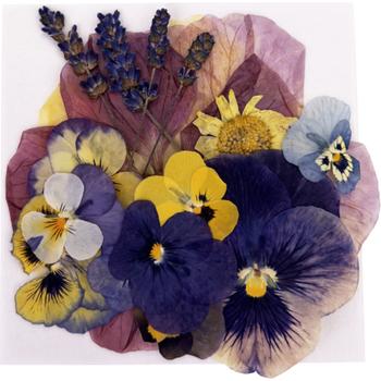 FRESH EDIBLE FLOWER WHEEL (PLATE DECORATED )VEGETABLE