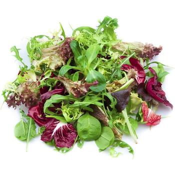 FRESH EUROPEAN CRISPY MIX SALAD