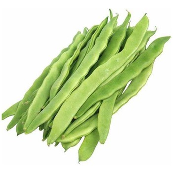FRESH FLAT GREEN BEANS (YESIL YASULYE)