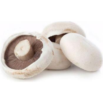 FRESH FLAT MUSHROOM