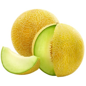 FRESH GALIA MELON