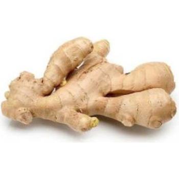 FRESH GINGER