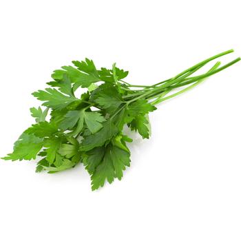 FRESH ITALIAN PARSLEY