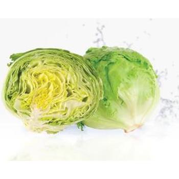 FRESH LARGE ICEBERG LETTUCE