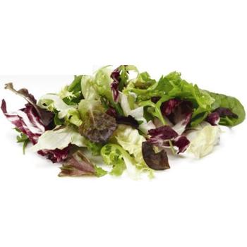 FRESH LARGE MIXED GROWING LETTUCE