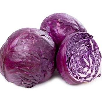 FRESH LARGE RED CABBAGE