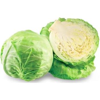 FRESH LARGE WHITE CABBAGE