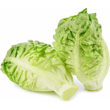 FRESH LITTLE GEM LETTUCE PULPI