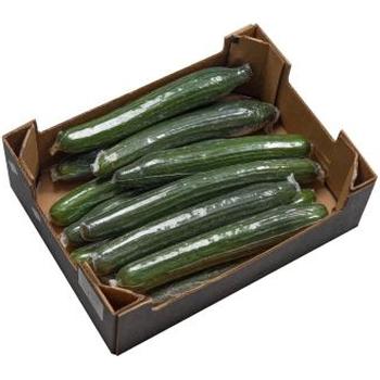 FRESH LONG CUCUMBER
