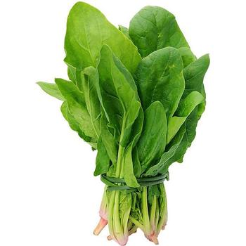 FRESH LOOSE SPINACH