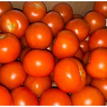 FRESH LOOSE TOMATOE