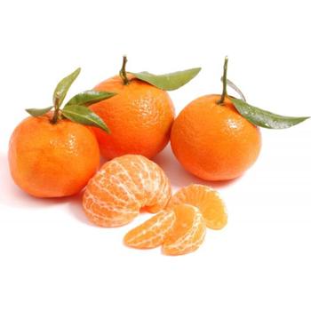 FRESH MANDALINA (CLEMENTINE)