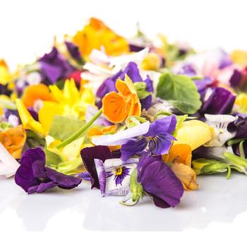 FRESH MICRO FLOWER