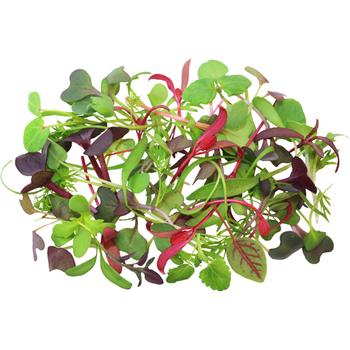 FRESH MICRO HERBS
