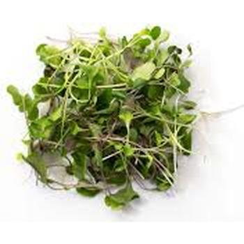 FRESH MICRO MIX SALAD LEAF