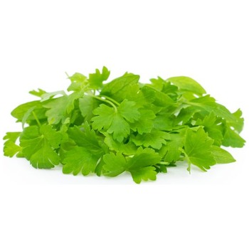 FRESH MICRO PARSLEY