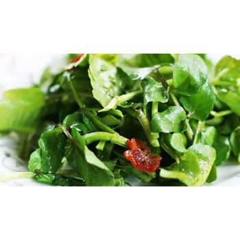 FRESH MICRO WATERCRESS