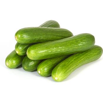 FRESH MINI CUCUMBER KUCUK TAZE SALATALIK