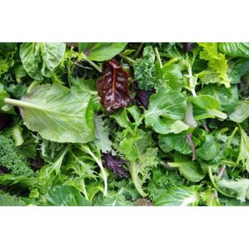 FRESH MIX BABY LEAF