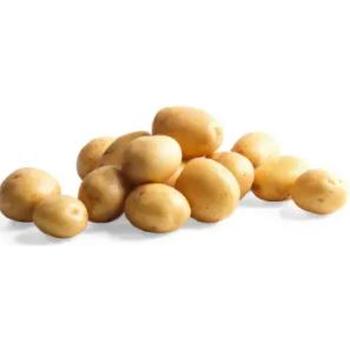FRESH NEW BABY POTATOES