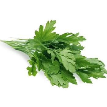 FRESH PARSLEY SINGLE BUNCH