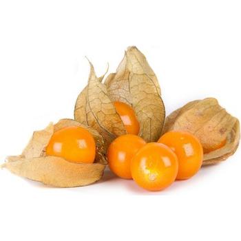 FRESH PHYSALIS GOLDBERRY (ALTIN CILEK)