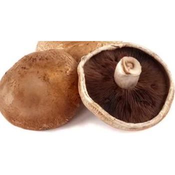 FRESH PORTOBELLO MUSHROOM