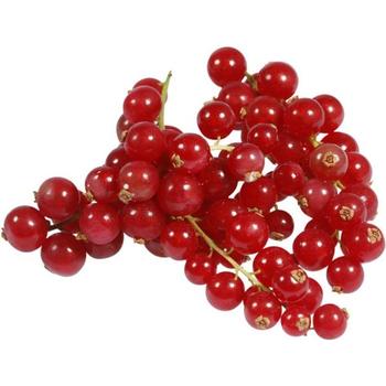 FRESH RED CURRANTS