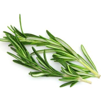 FRESH ROSEMARY