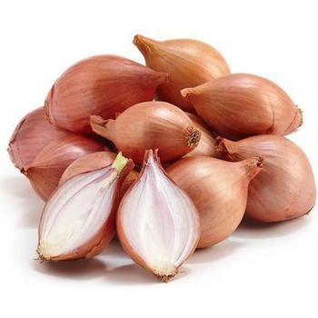 FRESH SHALLOT ONION (ARPACIK SOGAN)