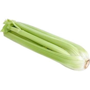 FRESH SHORT CELERY BUNCH