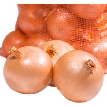 FRESH SPANISH ONION LARGE SIZE