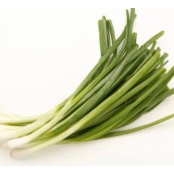 FRESH SPRING ONION