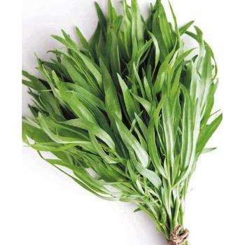 FRESH TARAGON BUNCH